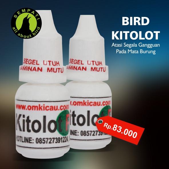 Bird Kitolot Tetes Om Kicau Obat Burung Sakit Mata Katarak Berlendir Infeksi Radang Bulu Ngembang Mata Bengkak
