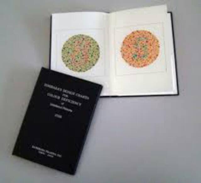Buku Ishihara Tes Buta Warna Isihara Plate