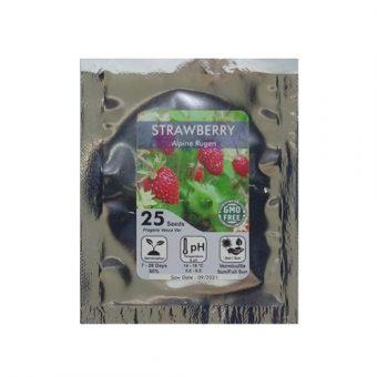 Bibit Bunga Benih Strawberry Alpine Rugen 25 Biji – Kemasan Foil
