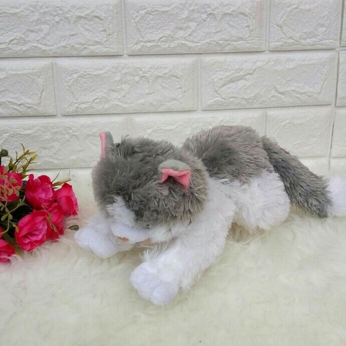 Boneka Cantik imut dan Lucu kucing Abu Putih