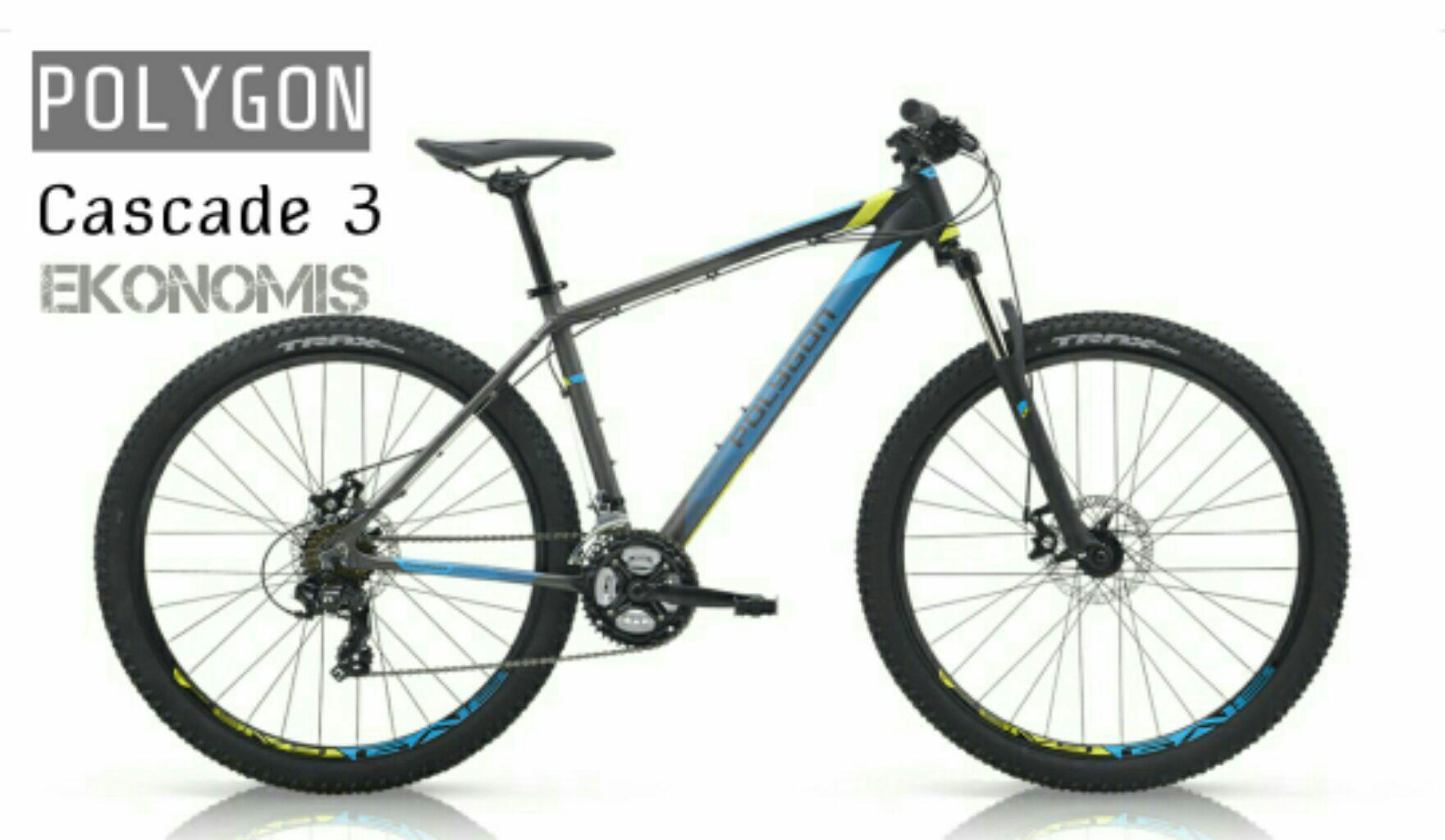 Sepeda MTB Polygon Cascade 3