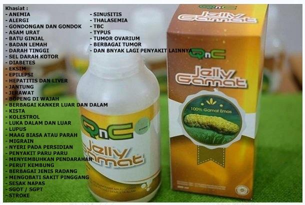 AGEN PENJUAL QNC JELLY GAMAT DI SAMARINDA TENGGARONG DAN KUTAIKARTANEGARA