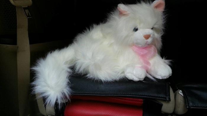 BONEKA KUCING ANGGORA PERSIA 30cm SNI