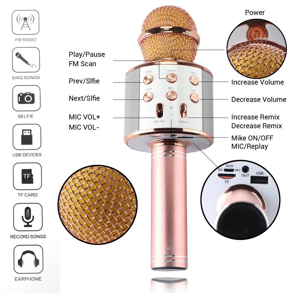 Terbaru Mic Karaoke + Speaker Bluetooth Wster WS-858