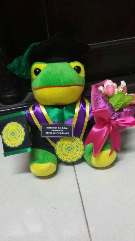 SALE -  Boneka wisuda keroppi 25cm dengan buket bunga