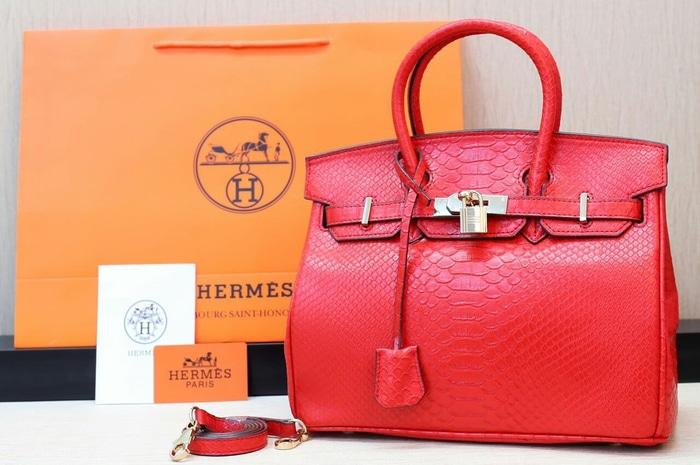 TAS HERMES BIRKIN SNAKE H101
