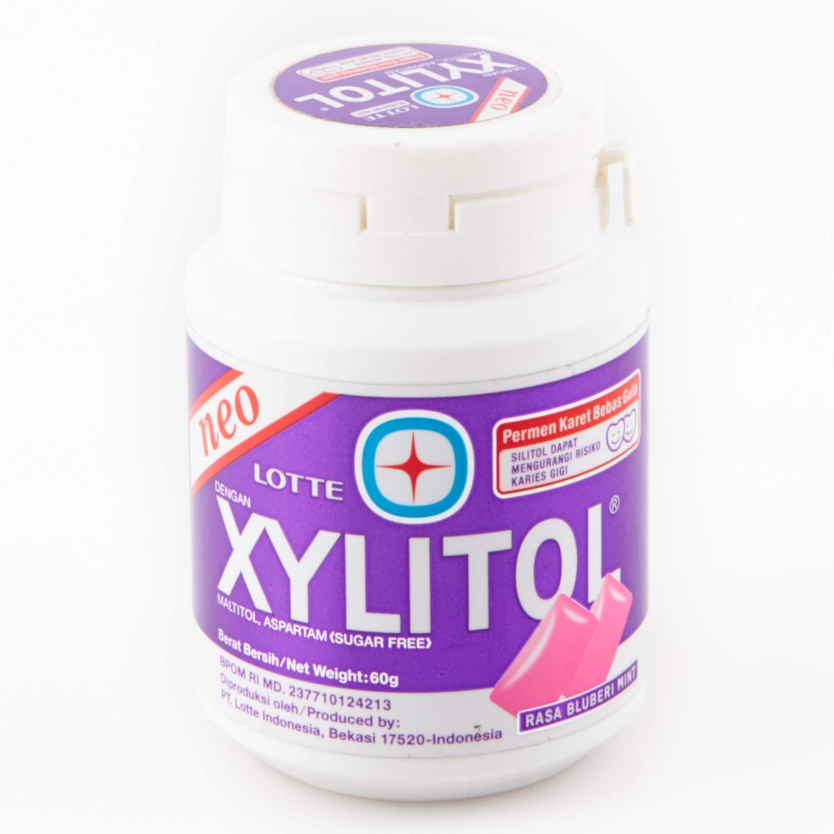 LOTTE XYLITOL Bluberi Mint 60g