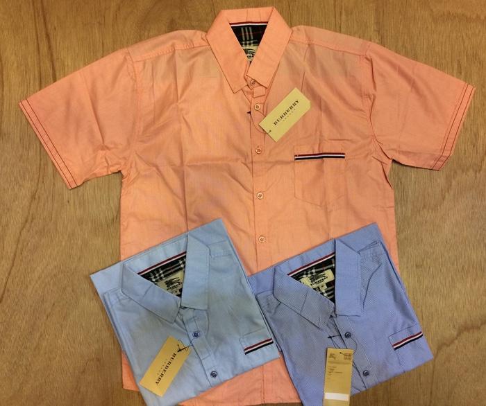 kemeja burberry/ kemeja pria/ kemeja cowok - Y9PzaJ