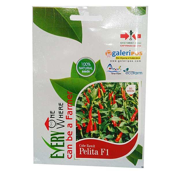Benih Cabai Rawit Pelita F1