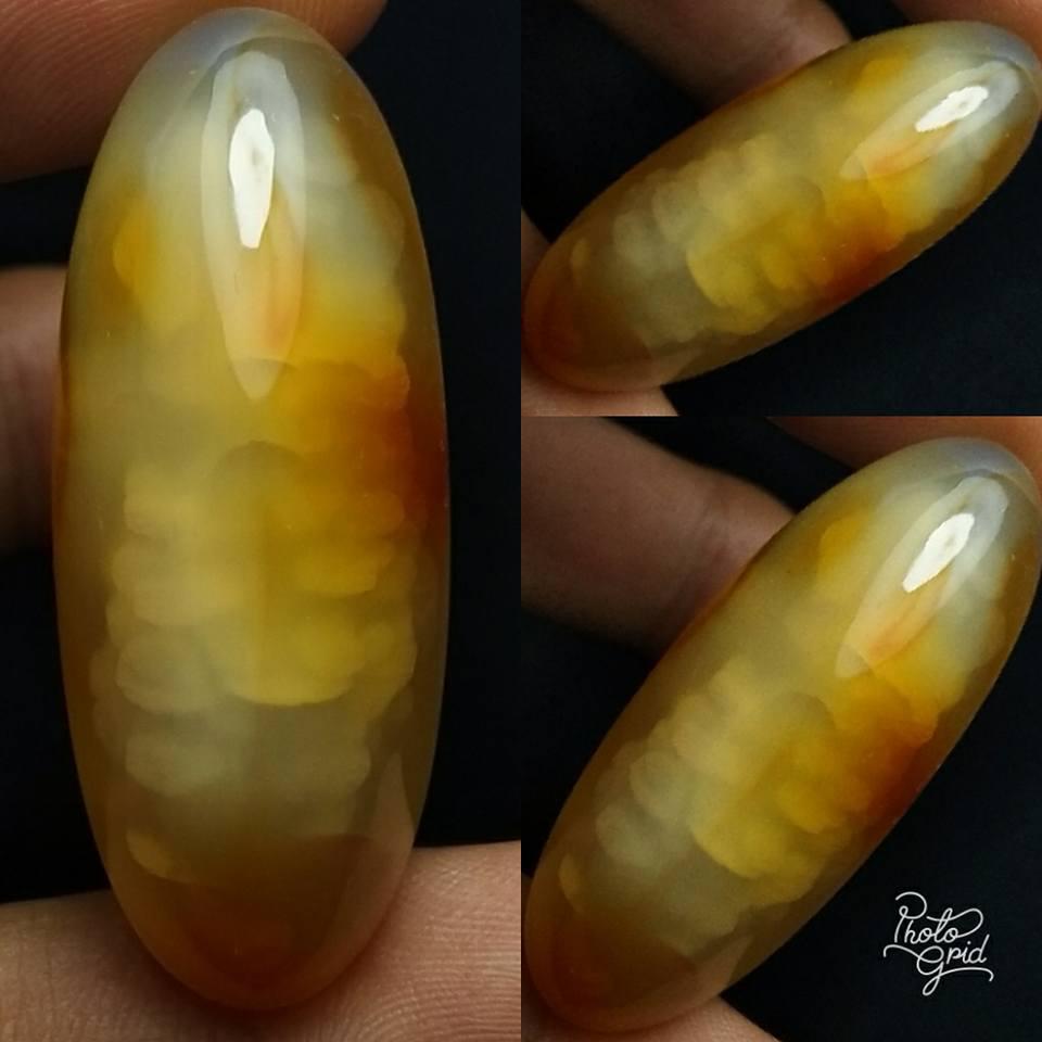 Batu Akik Pandan Nanas Sisik Betok Top Item