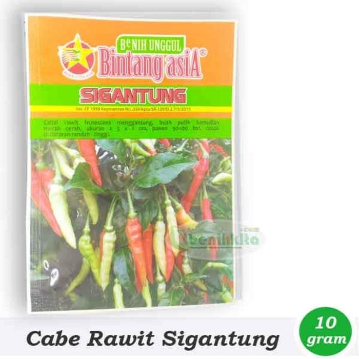 PROMO Benih/Bibit Cabe Rawit Besar Sigantung (Bintang Asia) - IPbtglmg
