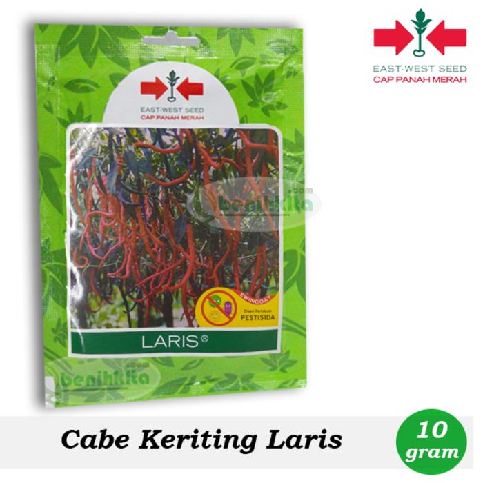 Benih-Bibit Cabe Keriting Laris (Cap Panah Merah)