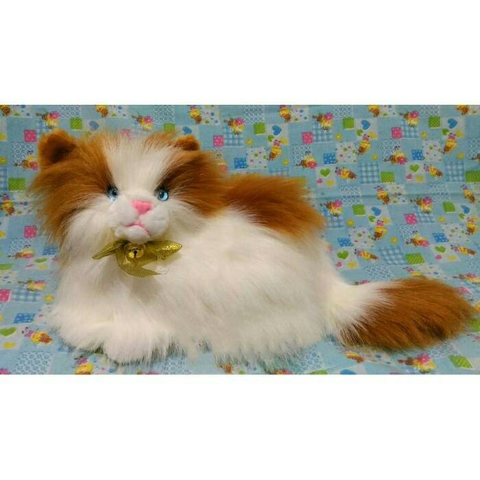 TERLARIS!!! Boneka Kucing Anggora Lucu Putih Coklat - fxqSFb