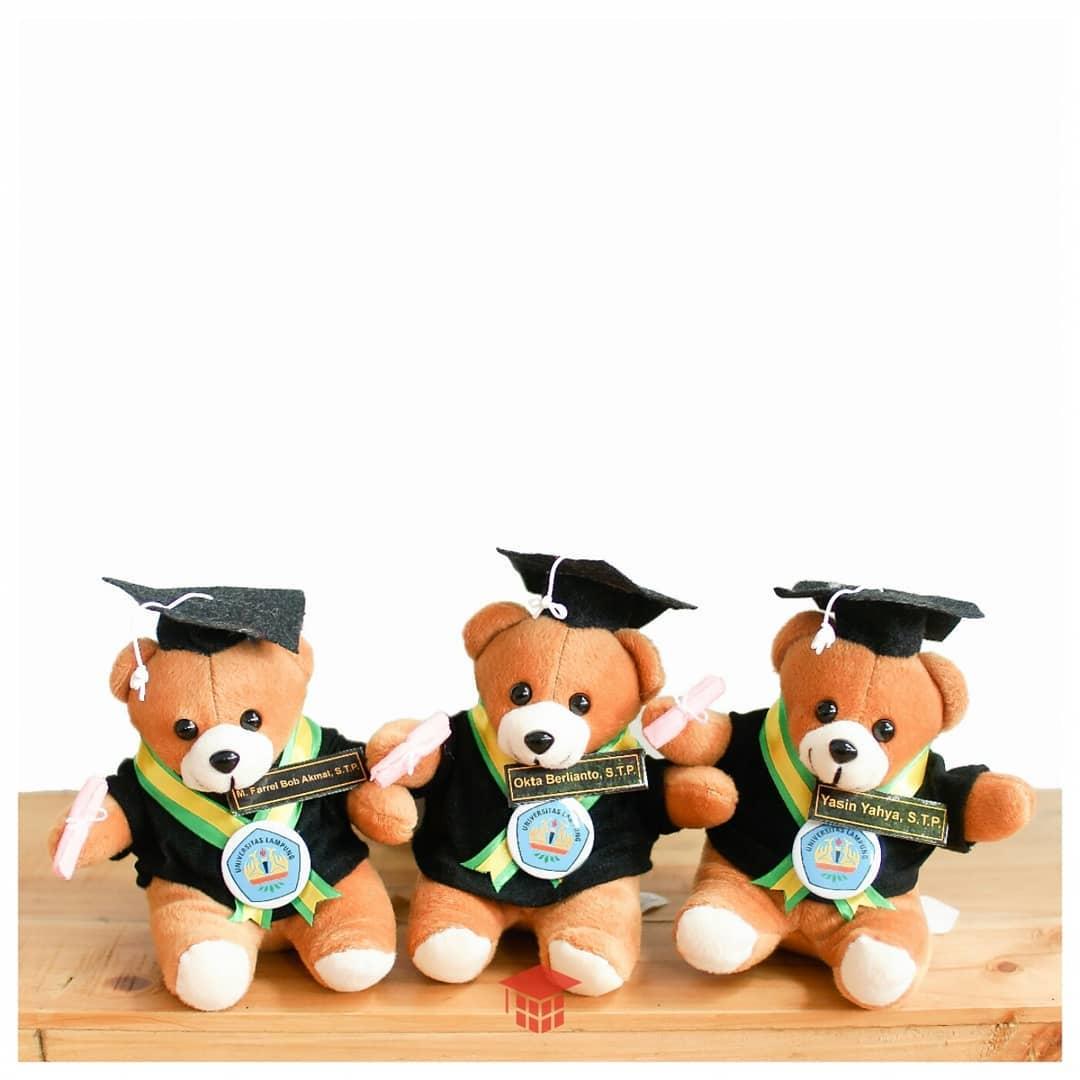 Paket Hemat 3 Boneka Wisuda Teddy Bear Kado Wisudaku