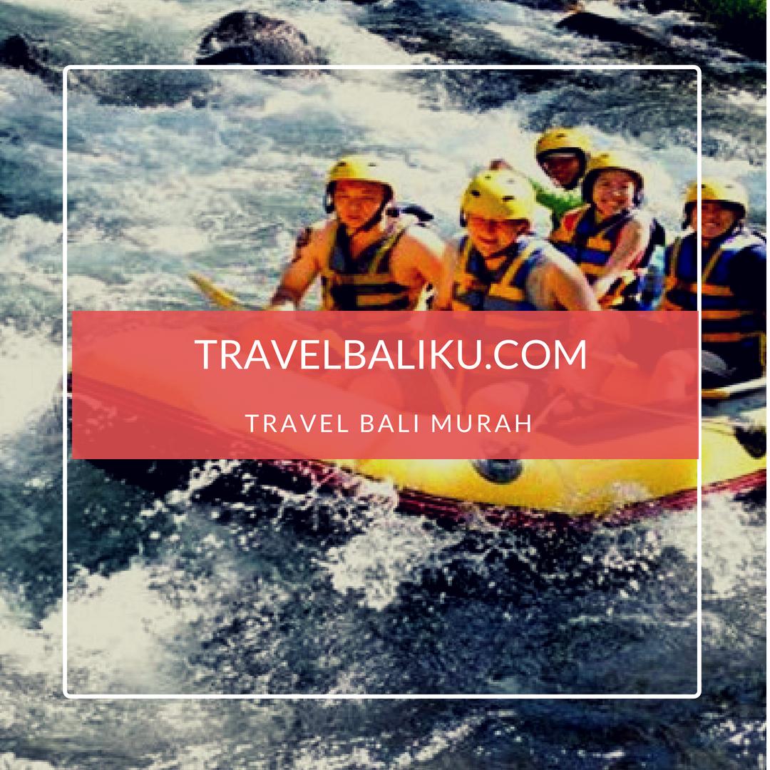 Rafting Di Sungai Telaga Waja Bali