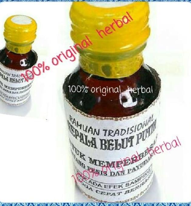 Minyak kalimantan belut-putih original