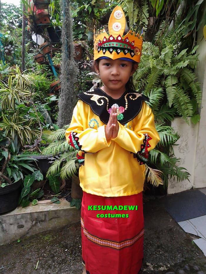 Promo: Daerah Banjarmasin Tk | Baju Adat Kostum Karnaval Pawai Anak Wanita - ready stock