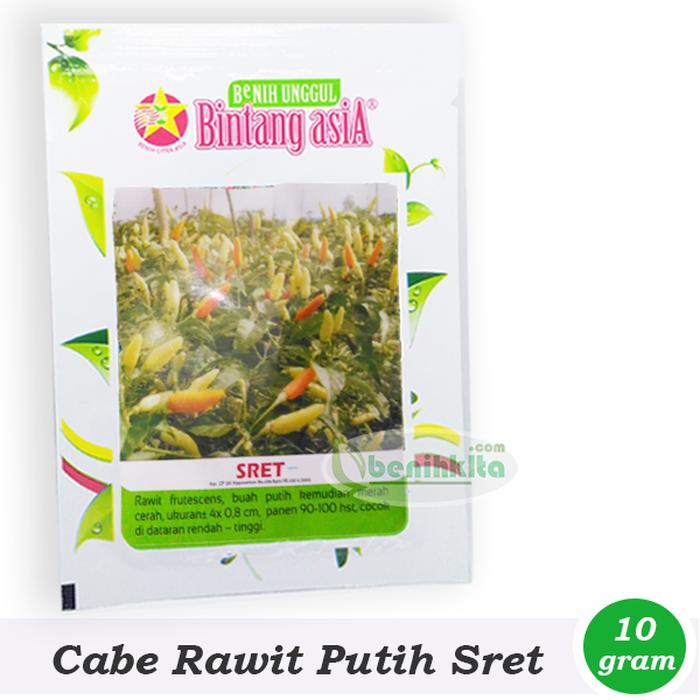 Benih Bibit Cabe Rawit Putih Sret Bintang Asia
