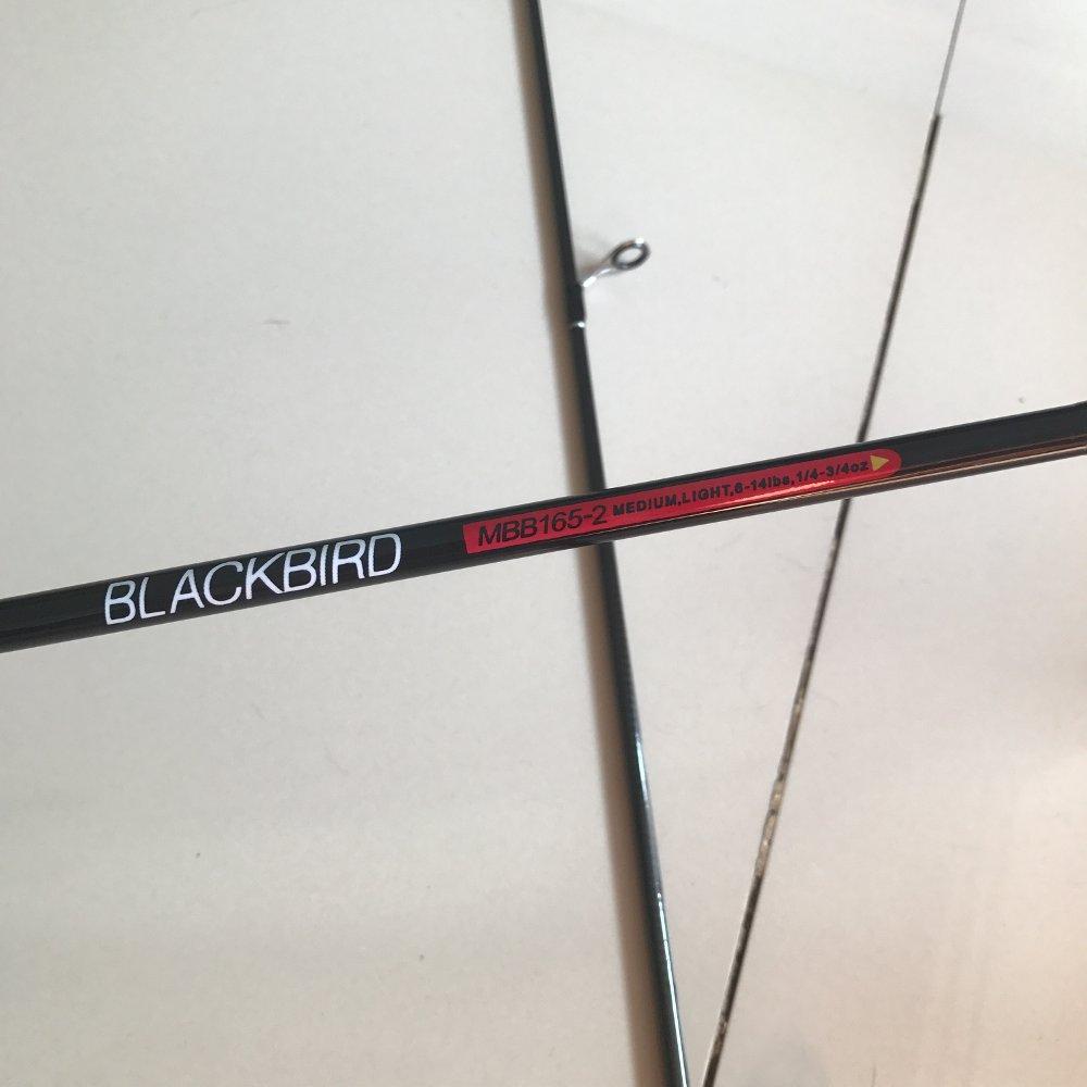 Joran maguro Blackbird 165 cm TERBARU BOS PANCING zerya_fishing