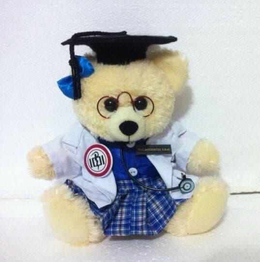 Boneka wisuda teddy bear 25cm sarjana kedokteran Boneka02490