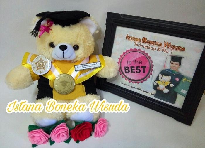 Hemat 10%!! Boneka Wisuda Semarang | Souvenir Wisuda | Kado Wisuda - ready stock