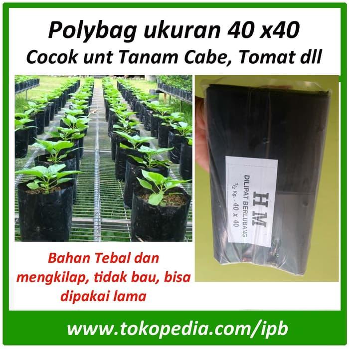 Promo - Polybag, polibag ukuran 40 x 40 cocok unt bibit tanaman cabe, tomat Import