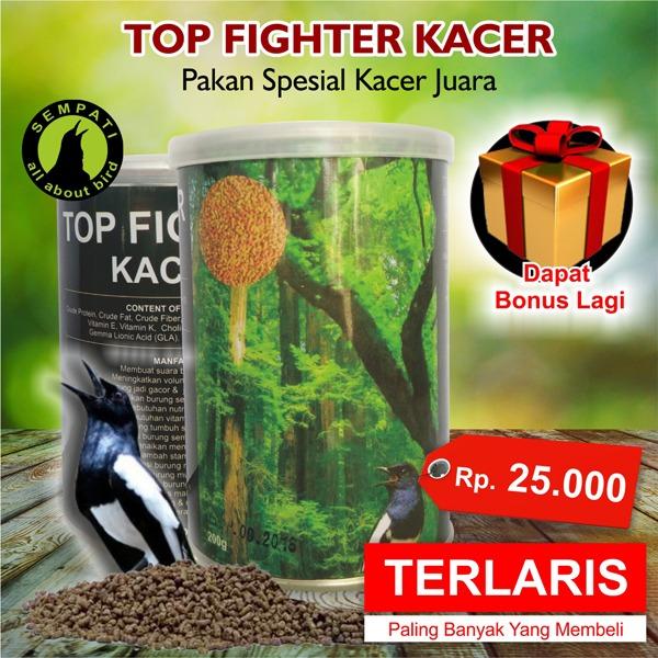 Top Fighter Kacer Sempati Pakan Lomba Burung Juara Berkicau Suara Gacor Rajin Bunyi Kristal