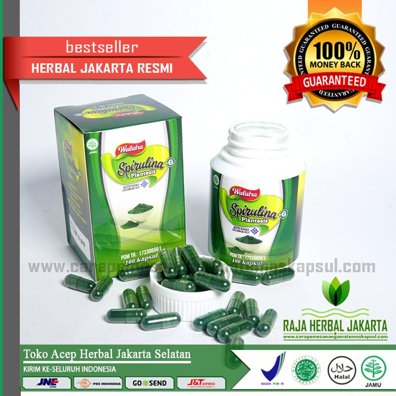 Walatra Spirulina -G Platensis Kapsul Isi 100 Original Asli Herbal Di Jakarta Selatan - Penggemuk Badan Aalami - Penambah Nafsu Makan Anak - Dewasa - Lansia - Ibu Menyusui - Ibu Hamil