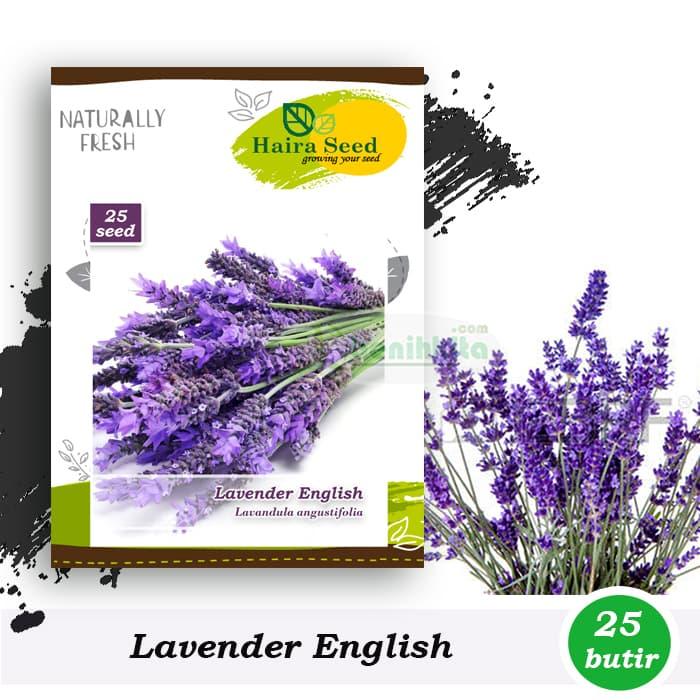 Obral Murah Benih-Bibit Bunga Lavender English (Haira Seed) Harga Grosir