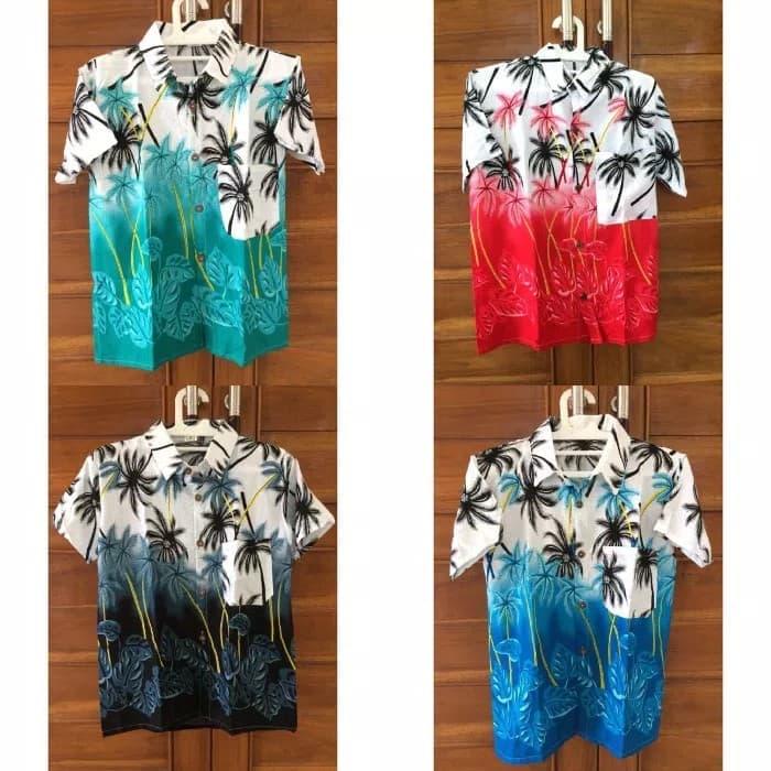 Harry distro - kemeja pantai kemeja bali kemeja santai kemeja gaul casual - All colour