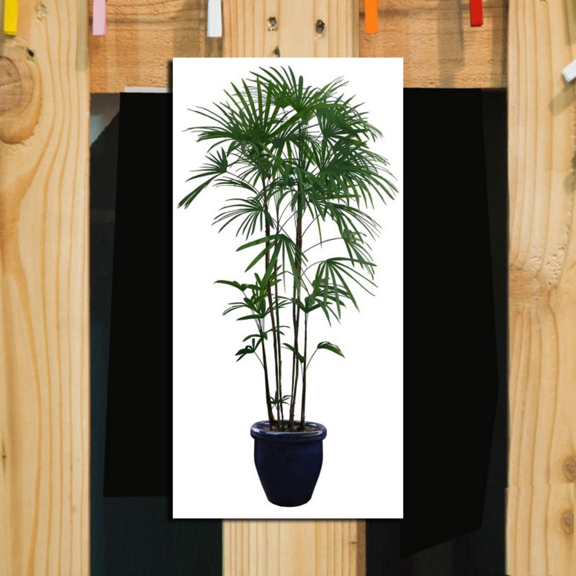 Hiasan Dinding / Poster Kayu / Wall Decor / Dekorasi Rumah / Hiasan Kamar / Hiasan Dapur / Hiasan Pintu / Hiasan Minimalis / Hiasan Unik / Bingkai / Hiasan Ruangan / Cafe Vintage / Hiasan Quotes / Leaf - 15X30 - LF4