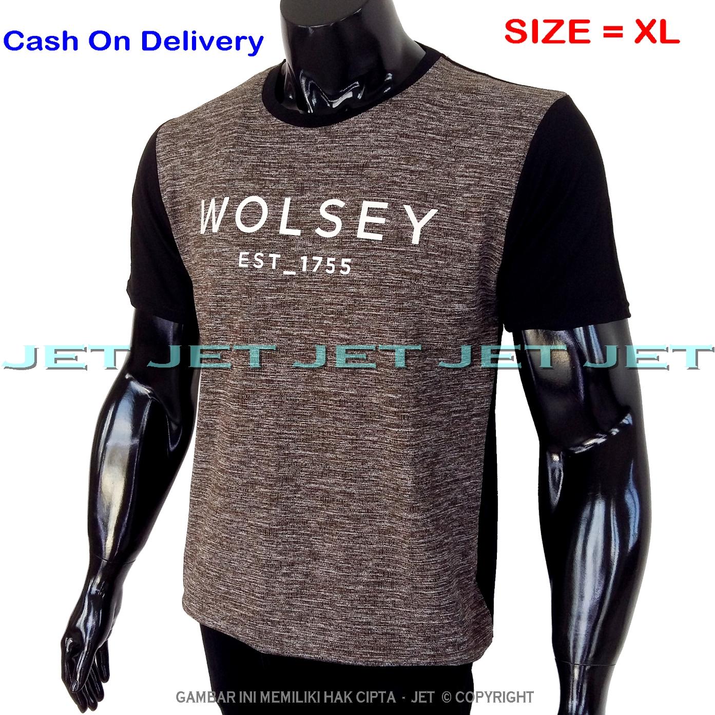 JeT - Kaos Distro WOLSEY Size XL Dewasa Lengan Pendek Soft Rayon Viscose Lycra Tidak Pasaran Sablonan Eropa Gradasi