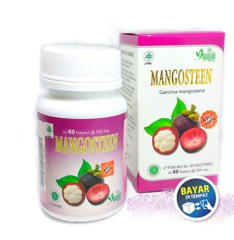 Kapsul Mangosteen Garcinia Mangostana Inayah - Herbal Kulit Manggis - 60 Kapsul