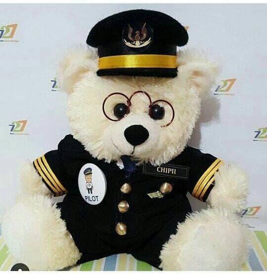 boneka beruang teddy bear chubby profesi pilot lucu banget Boneka06274