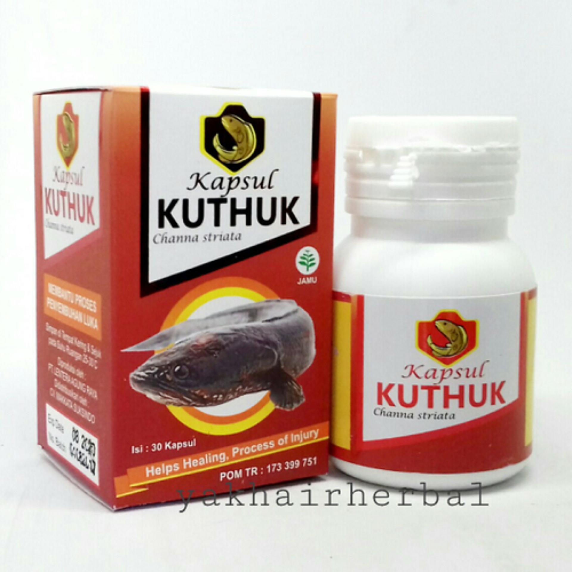 Kapsul Ekstrak Ikan Gabus Kuthuk / Kapsul Kutuk / Pro Albumin