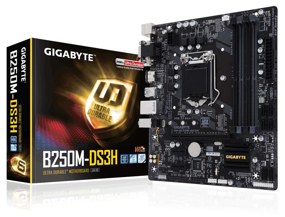 GIGABYTE B250M-DS3H