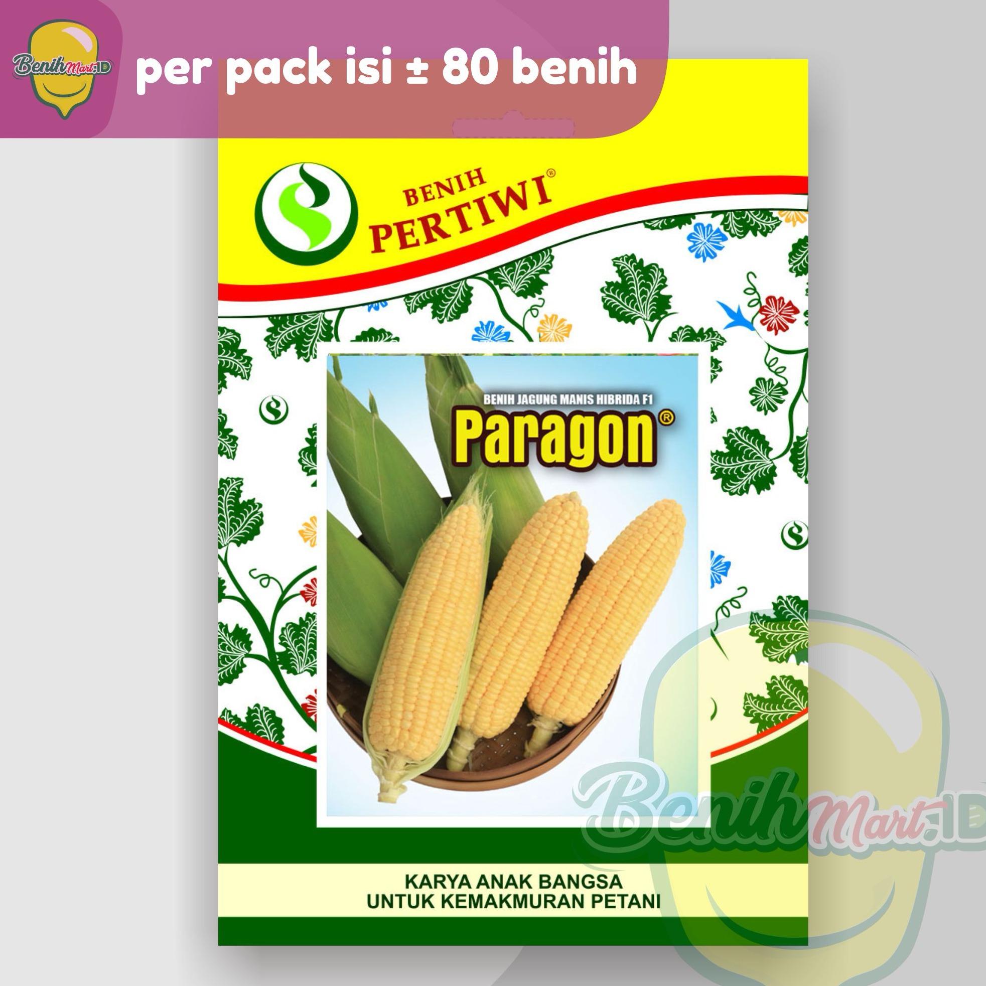 katalog harga benih jagung manis fpoa info katalog harga benih jagung manis fpoa info