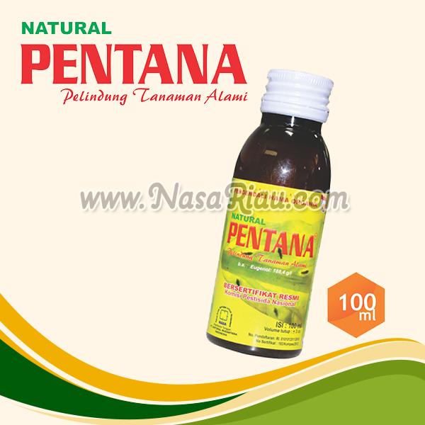 NATURAL PENTANA NASA DI PEKANBARU RIAU
