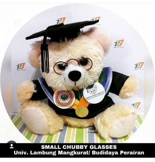 Boneka Wisuda Toga Asli Seperti Almamater