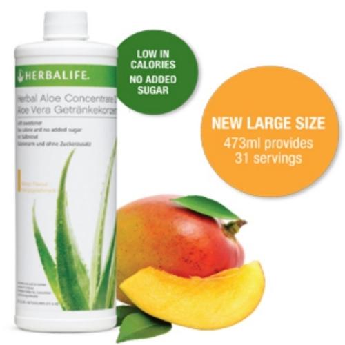 ALOE MANGO HERBALIFE # pelangsing alami & pengganti makan