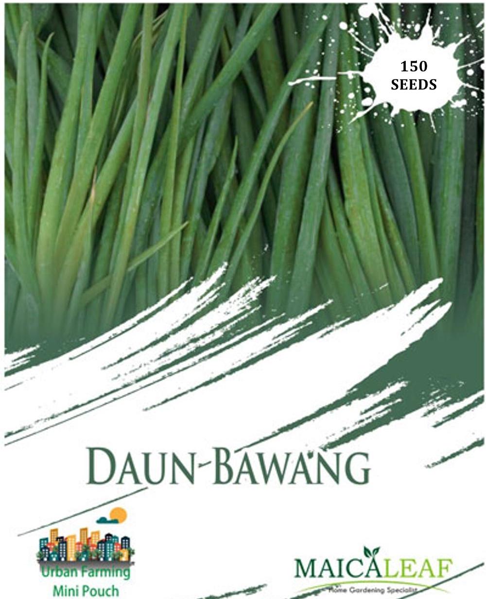 Maica Leaf Benih/Bibit Tanaman Daun Bawang - 150 Butir