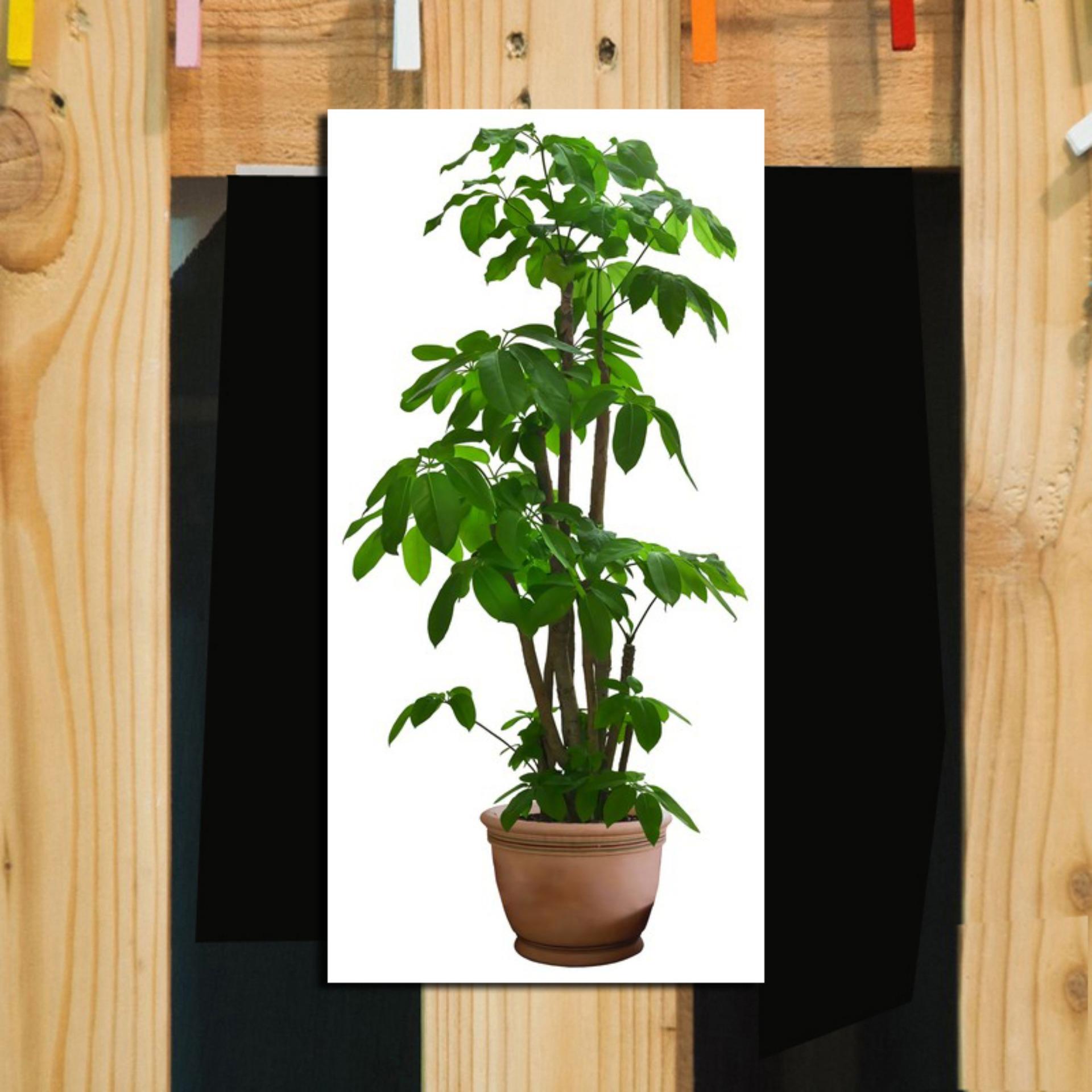 Hiasan Dinding / Poster Kayu / Wall Decor / Dekorasi Rumah / Hiasan Kamar / Hiasan