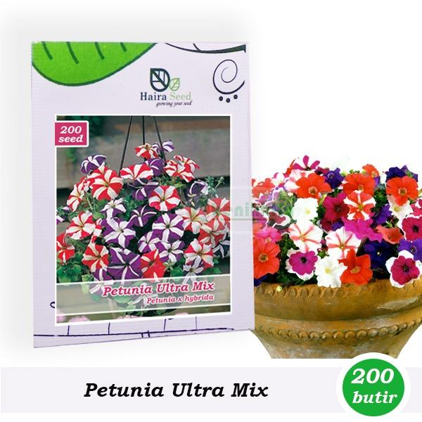 Benih-Bibit Bunga Petunia Ultra Mixed (Haira Seed)
