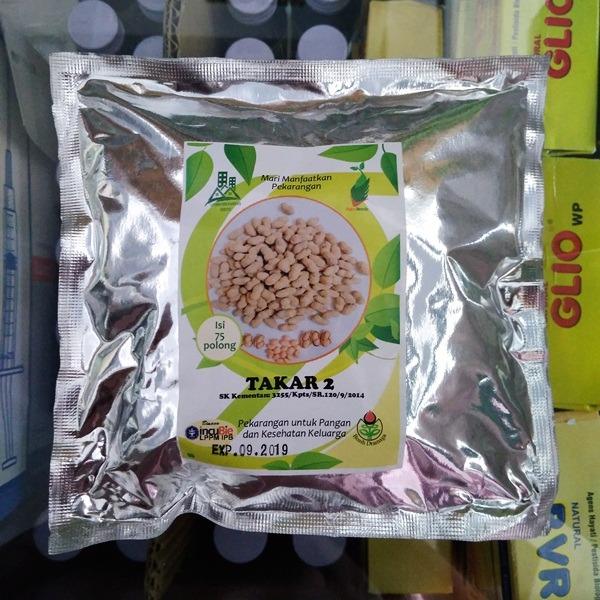 Bibit Bunga Benih Dramaga Kacang Tanah Takar 2 – 75 Biji
