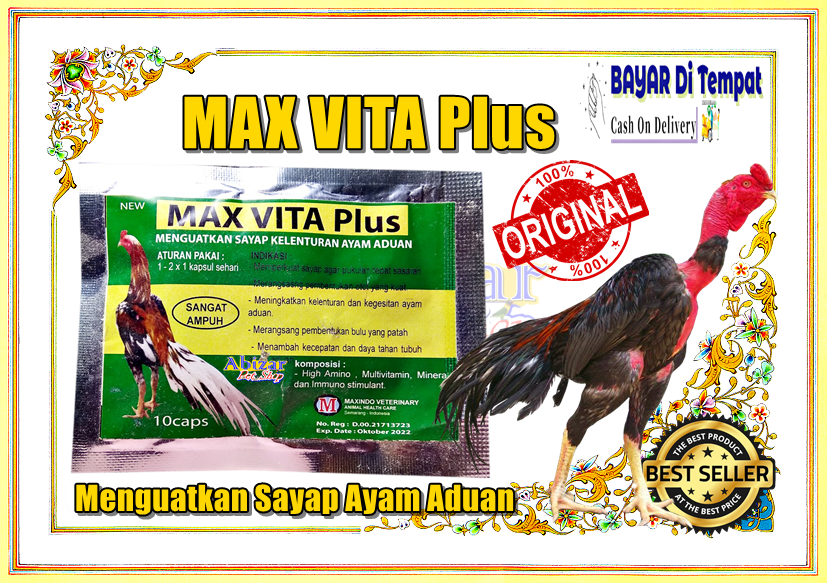 Obat Ayam Vitamin Ayam Supplemen Ayam Obat Ayam Jago Aduan Menguatkan Sayap Kelenturan Ayam Aduan Max Vita Plus Kemasan Sachet Isi 10 Kapsul Abizar Pet Shop Lazada Indonesia