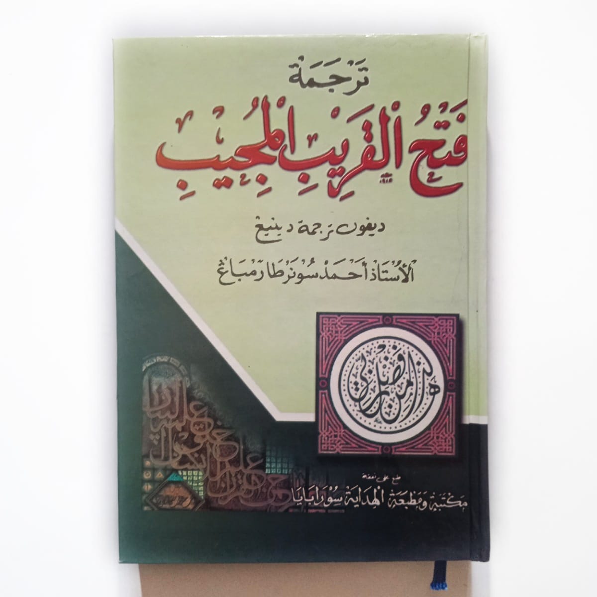 Ogil yosh ahmoqlarni sikadi