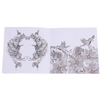 Detail Gambar HengSong Secret Garden An Inky Treasure Hunt And Coloring Book BirdMagic Mirror 24 Pages