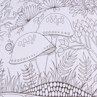 HengSong Secret Garden An Inky Treasure Hunt And Coloring Book Enchanted Forest 24
