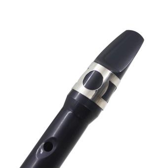 Mini Pocket Saxophone Sax Eb Plastic with Reed Cleaning ClothCarrying Bag Gloves Woodwind .