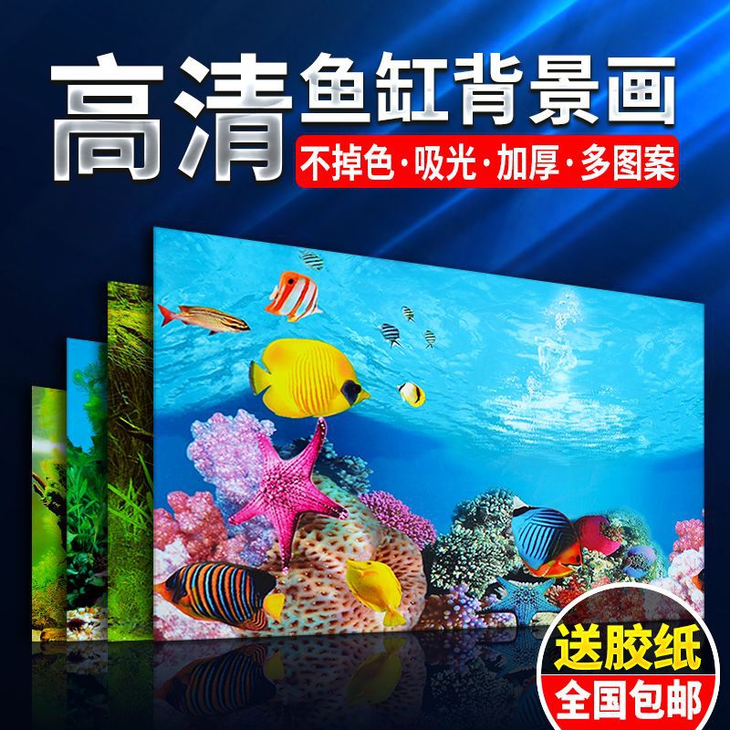 Jual Wallpaper Ikan Hias Akuarium Terbaru - Oct 2024 | Lazada.co.id